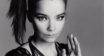 Post: el corazón musical disperso de Björk